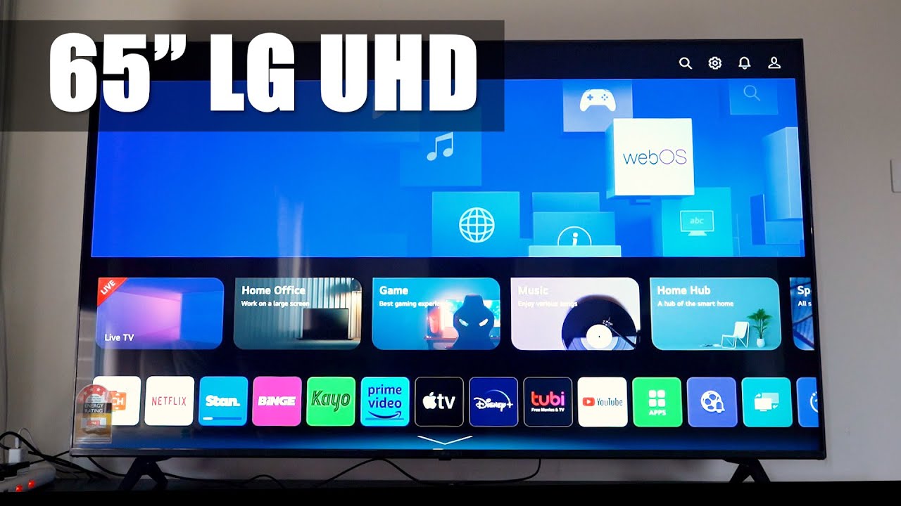 LG 65