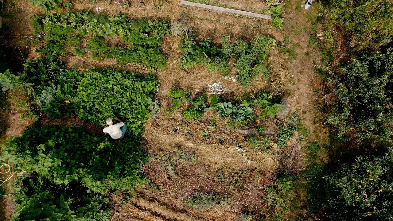 Jardin primé au concours Jardiner Autrement 2023, catégorie grand jardin privé