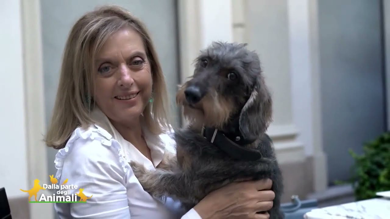 BYRON E MOZART, GLI AMICI QUATTROZAMPE DI ANTONELLA BORALEVI