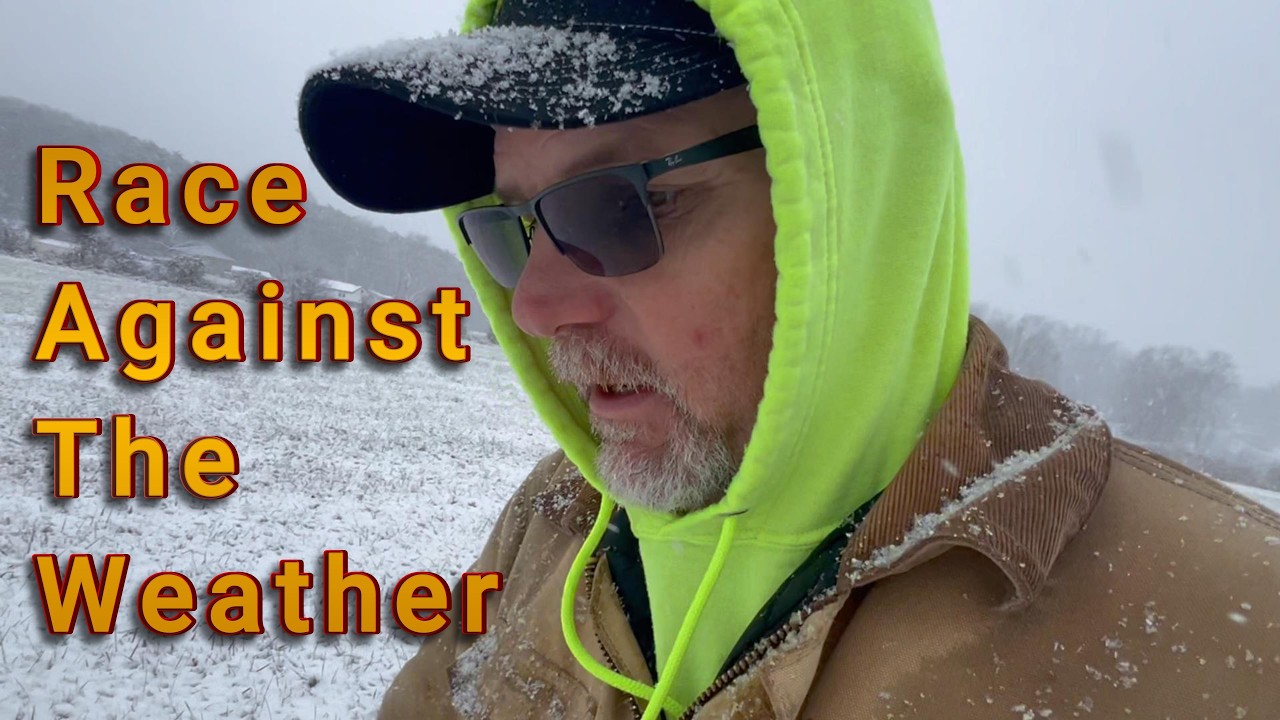 Gallagher Fence Charger Setup & Closing in the Coop for Snowy Single-Digit Weather | Part 1