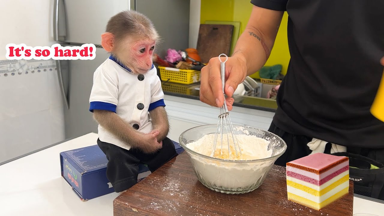 Smart Lily helps dad make sponge cake for breakfast
