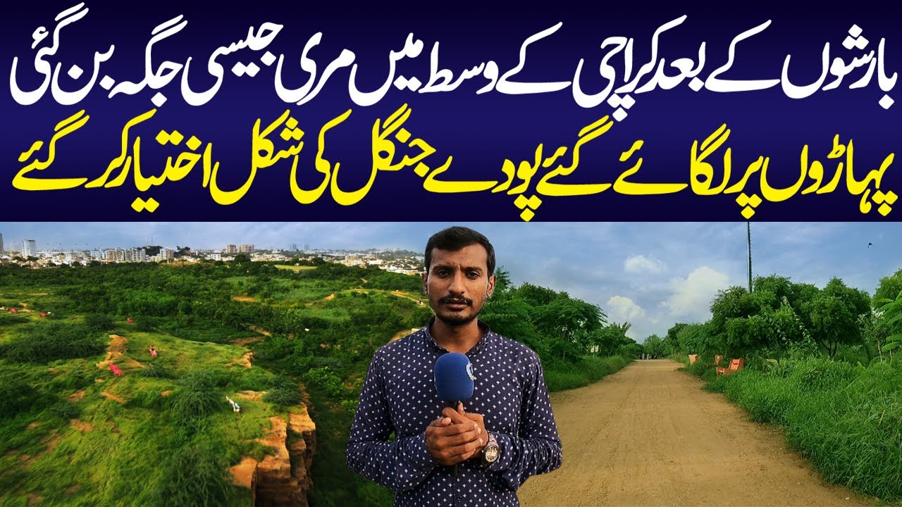 New Murree Place in Karachi | Beautiful Hidden Place in Karachi | Kidney Hill Park | Beautiful View