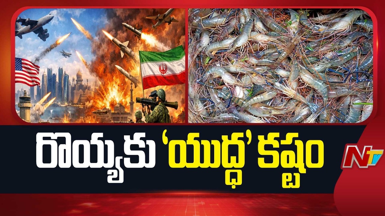 Middle East War: Andhra Pradesh Shrimp Farmers Face Heavy Losses | NTV Telugu