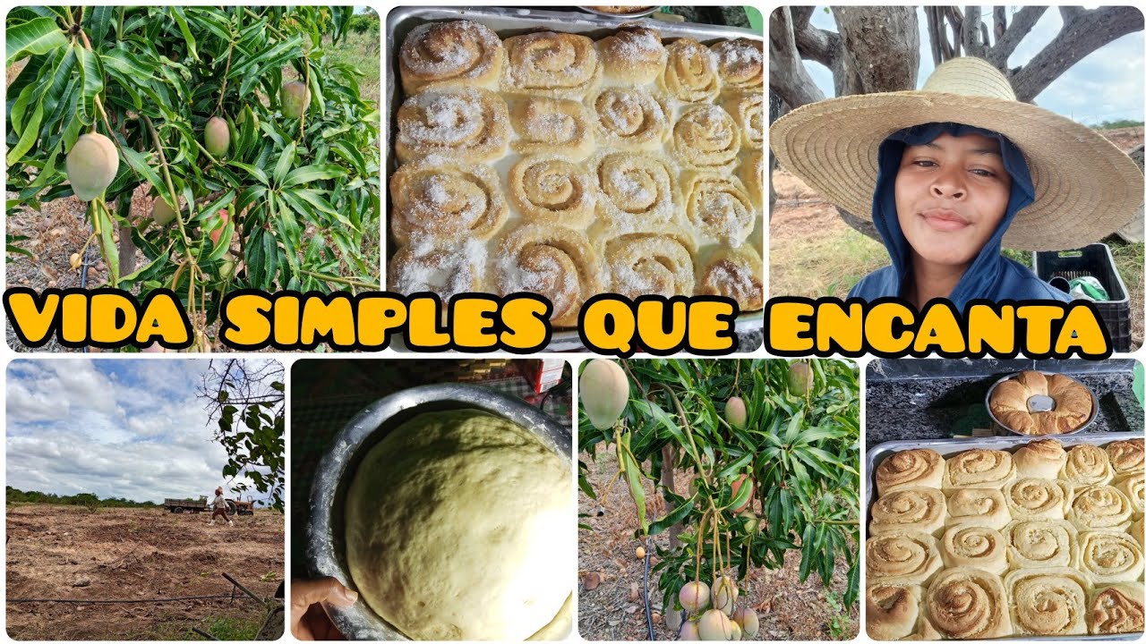 Essa é Minha Vida na Roça 🌾 Pão Caseiro, Compras do Mês e Plantio de Maracujá#vidasimples 