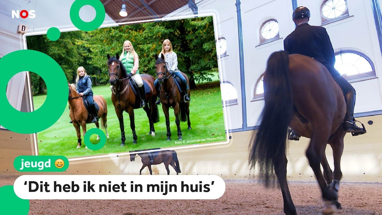 Kinderen kijken bij de paarden en auto's van de koning