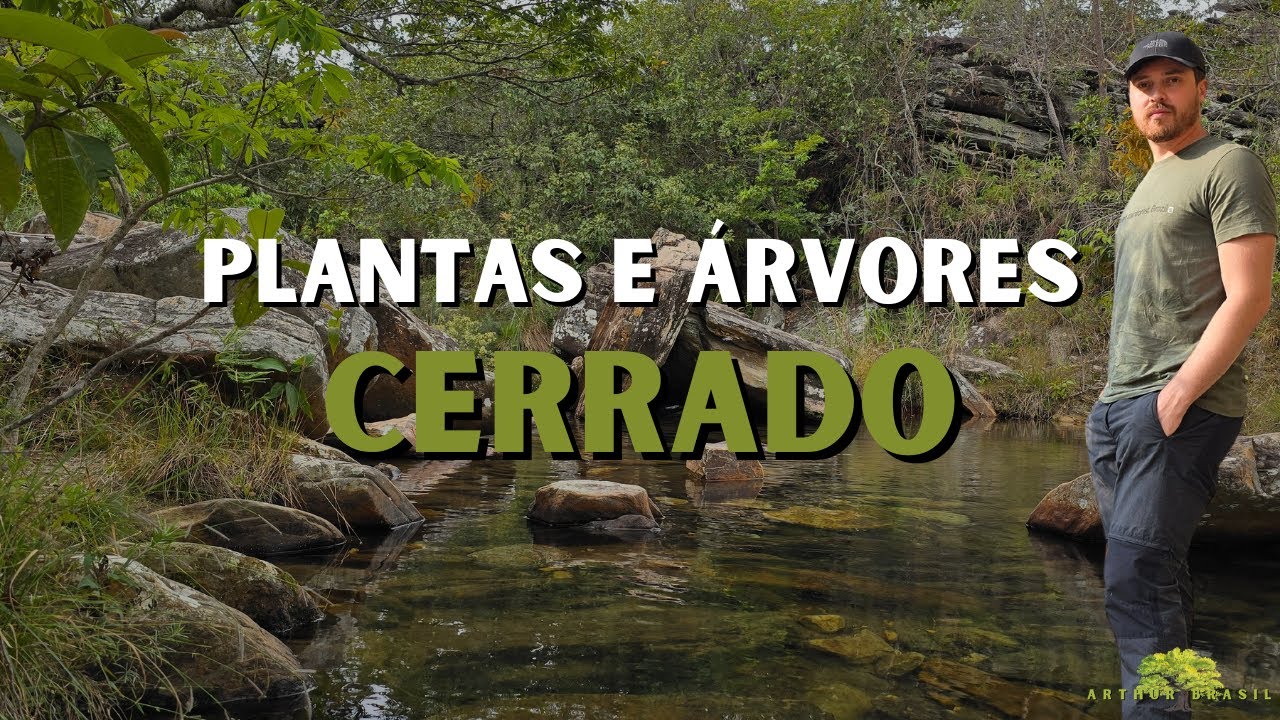 &Aacute;rvores e plantas do Cerrado mineiro em Carrancas