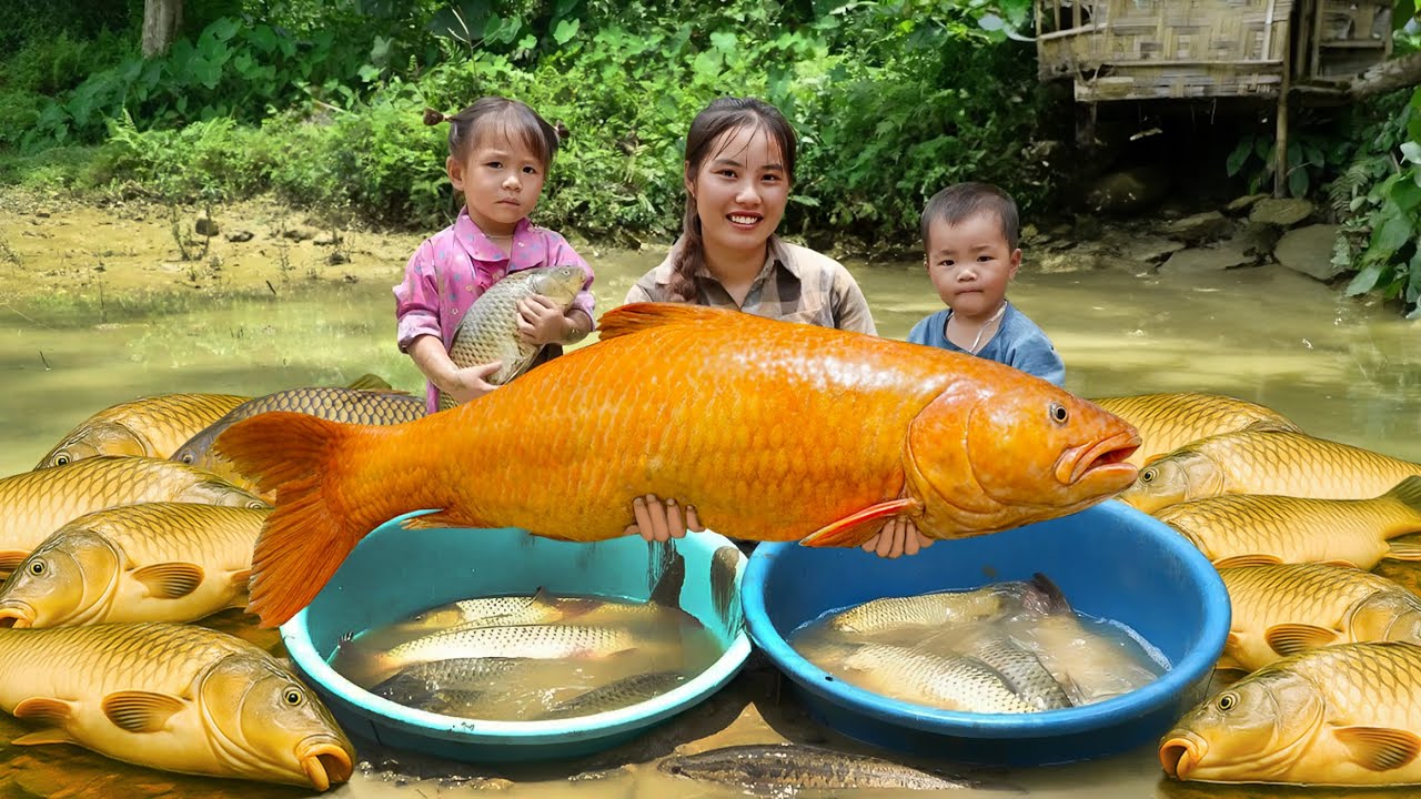 Unbelievable Catching Fish from a Hidden Pond | Ms. Duong's Family Fishing Journey | Village Life