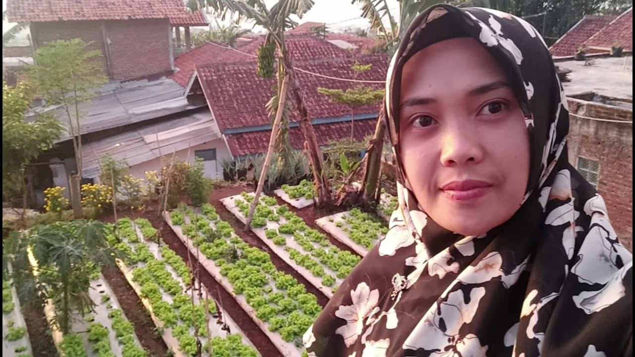 PKM Green House Mandalamekar