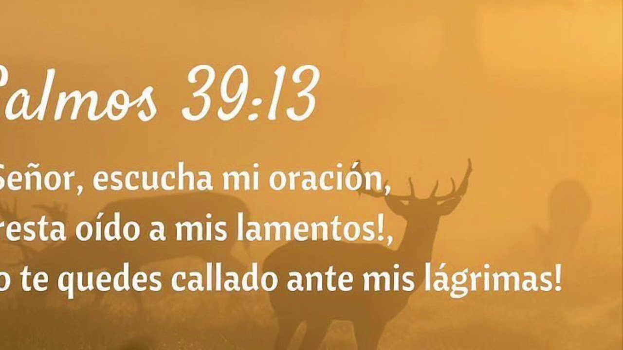 Salmos 39. Guarda silencio ante el impío!!