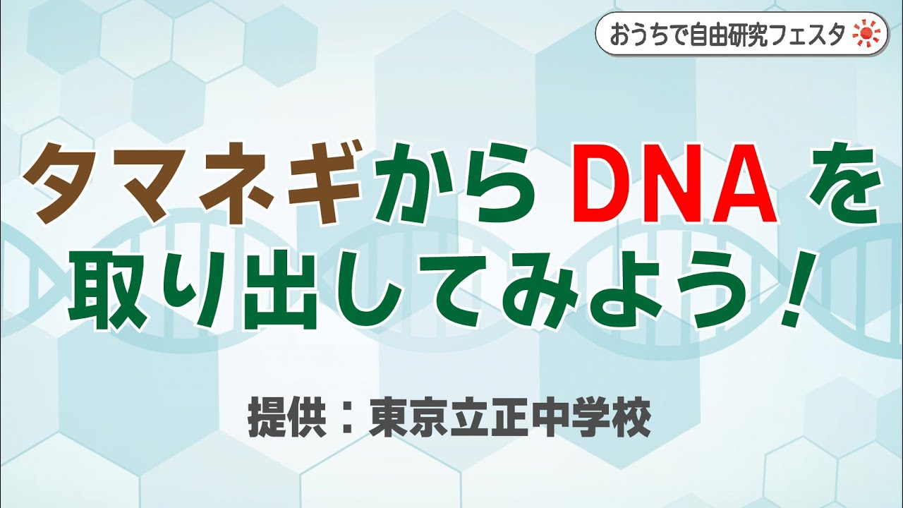 【おうちで自由研究フェスタ2021】DNAを取り出してみよう　提供：東京立正中学校