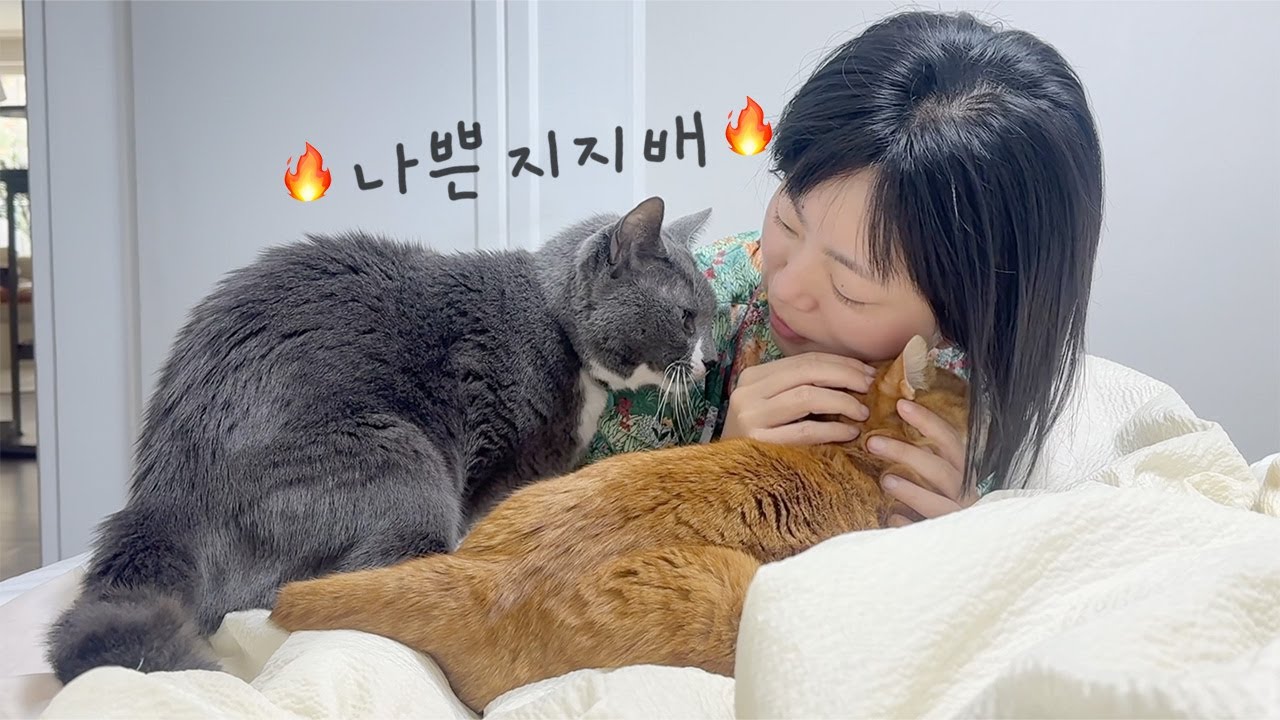 이젠 오들이까지 질투하는 휴지