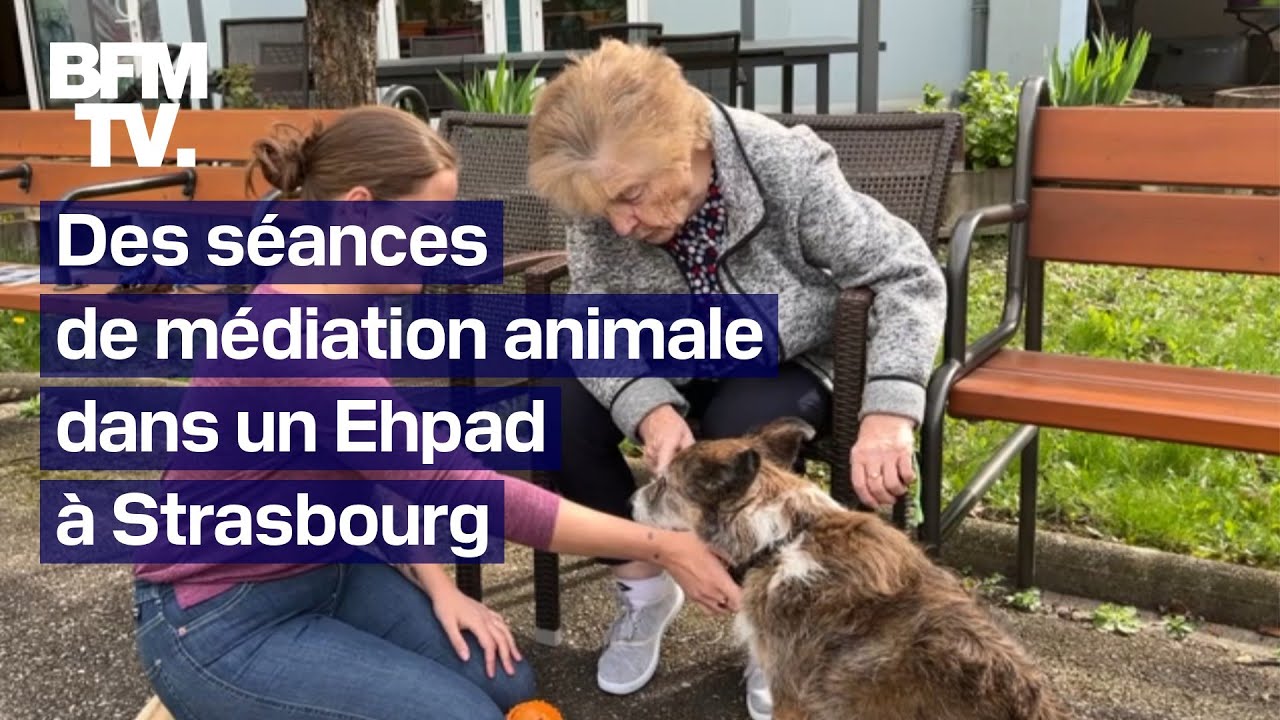 Strasbourg: des séances de médiation animale proposées dans un Ehpad