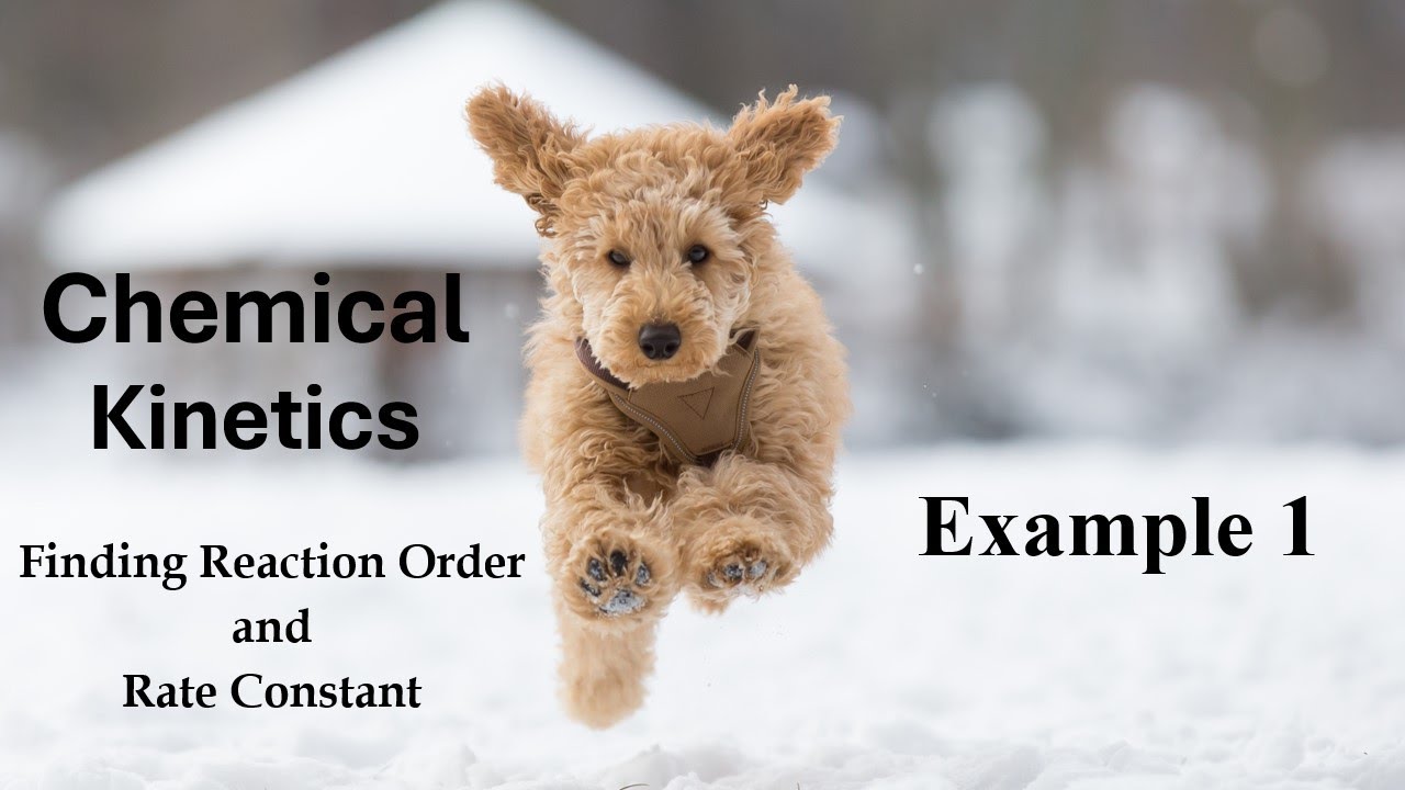 Kinetics: Finding Orders and Rate Constant Example 1 of Chemical Kinetics