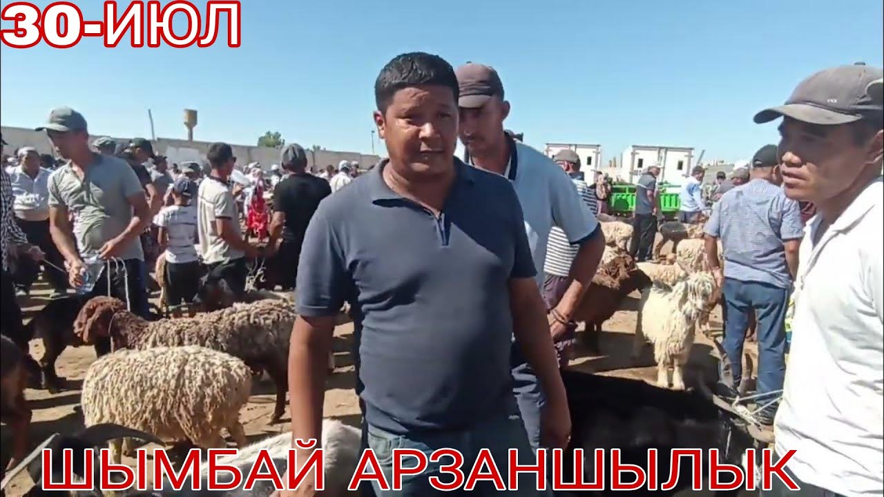 30-ИЮЛ/ШЫМБАЙ МАЛ БАЗАРЫ/СКОТНЫЙ РЫНОК/МАЛ БАЗАР 2023/ДЕМ БЕРМЕС/DEM BERMES
