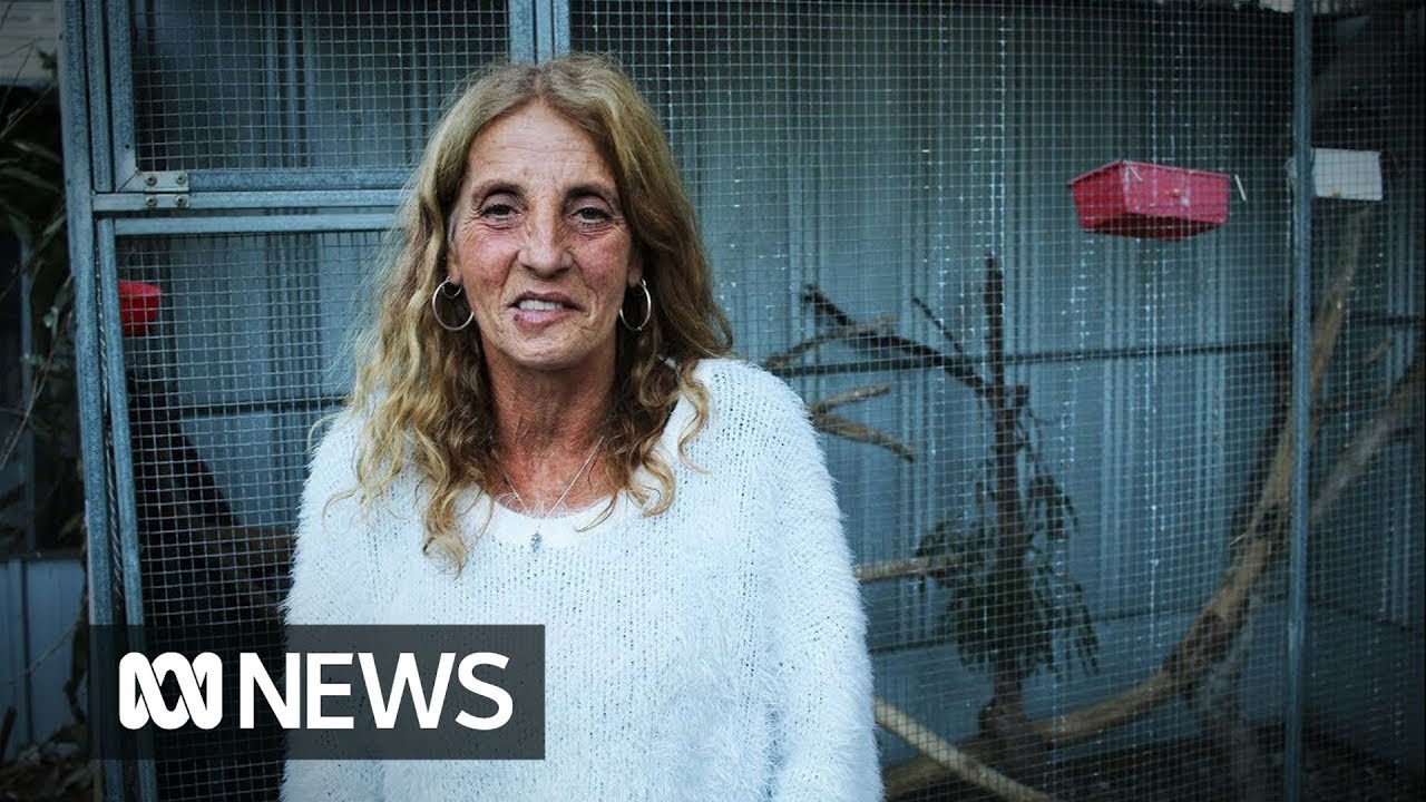 Michele Phillips: The possum lady's wildlife sanctuary in the suburbs