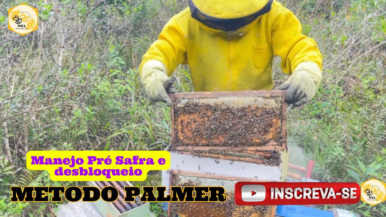 MÉTODO PÁLMER BRASIL 