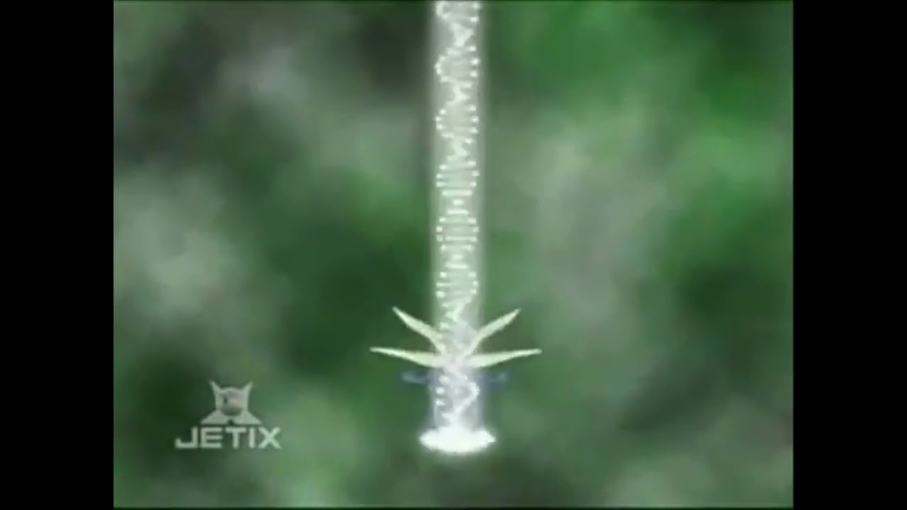 All Digimon evolutions remade season 1