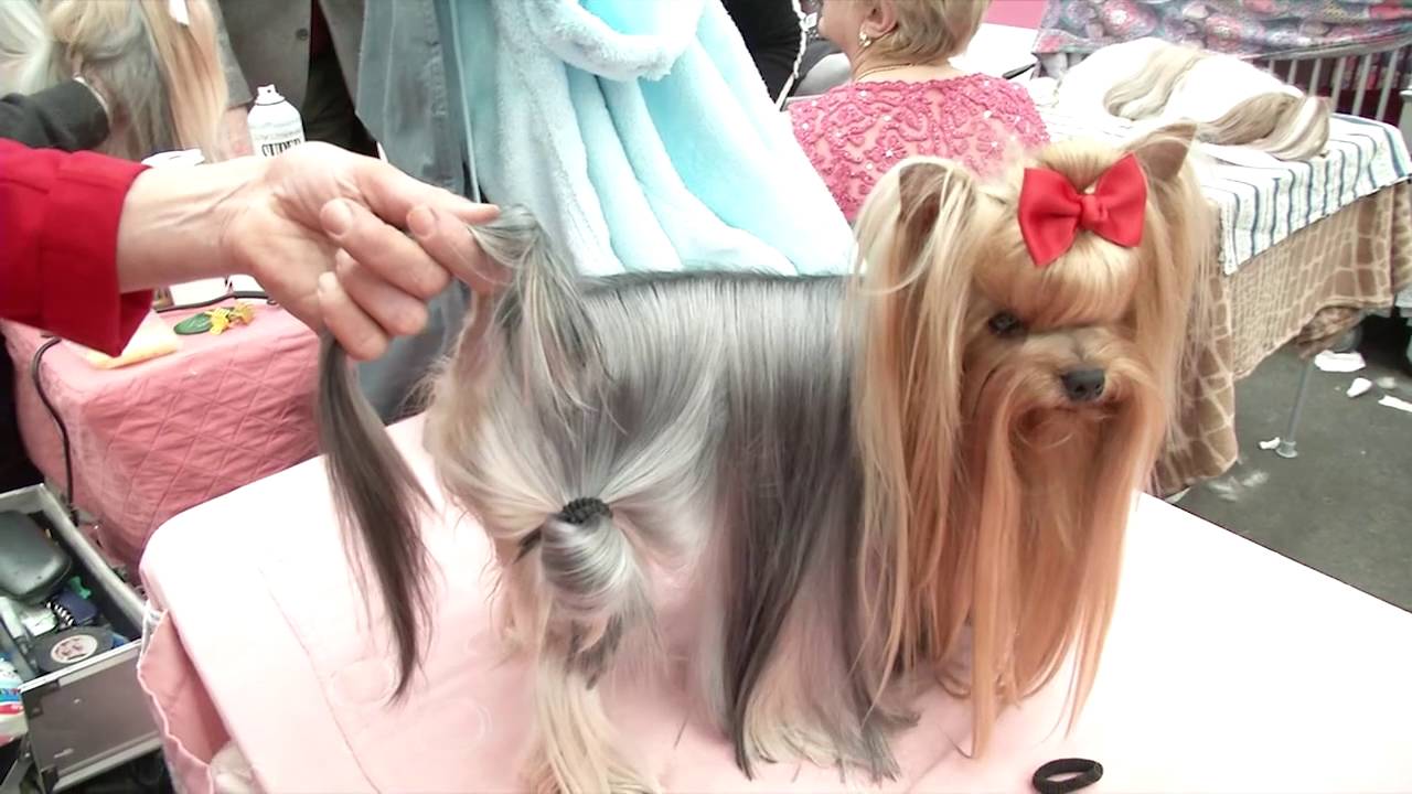 Nicoletta Secrets DVD