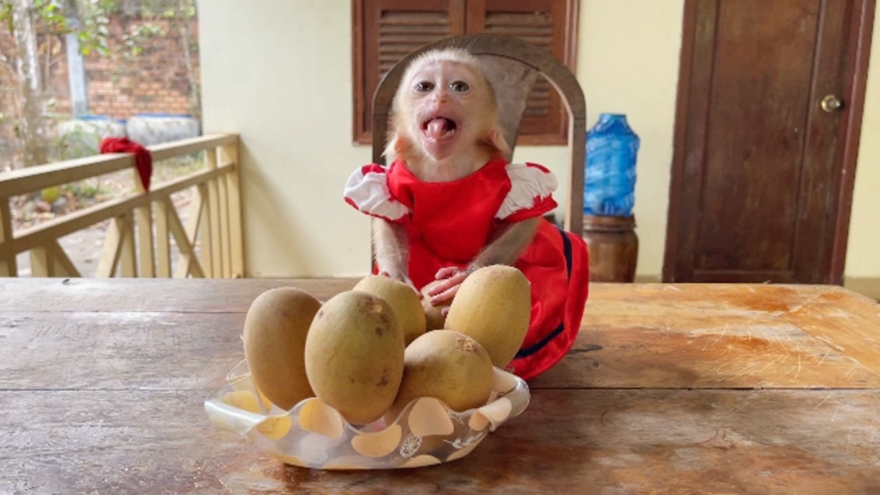 Hilarious Selena Gesture Body Languages To Invited With Her Fruits Snack