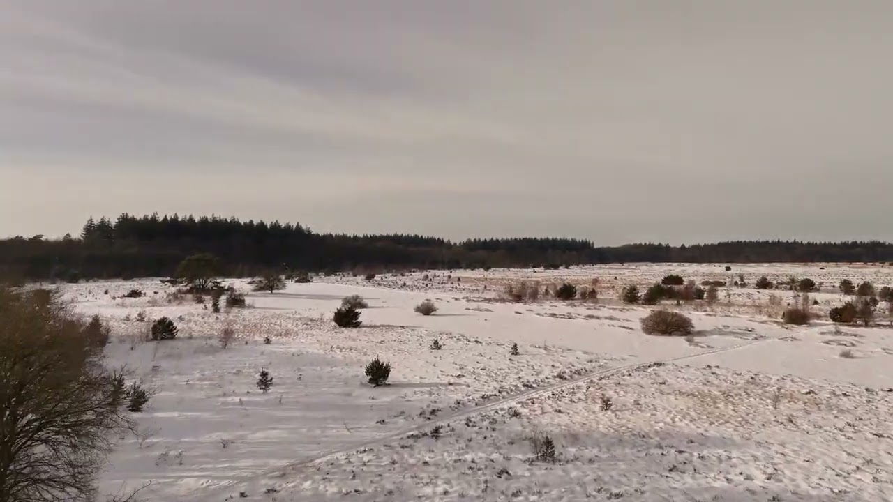 Winter in Odoorn 2026