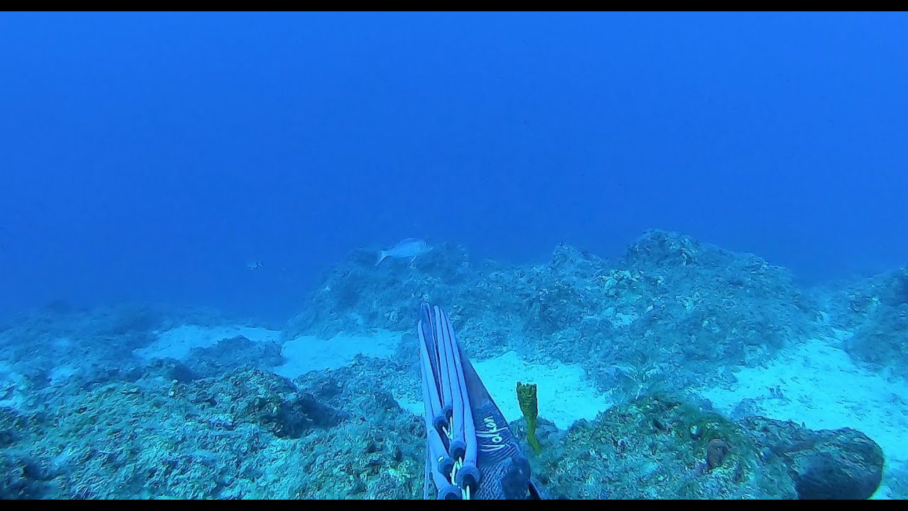 Εξορμηση στη ΜΕΣΣΗΝΙΑ---GREECE SPEARFISHING---