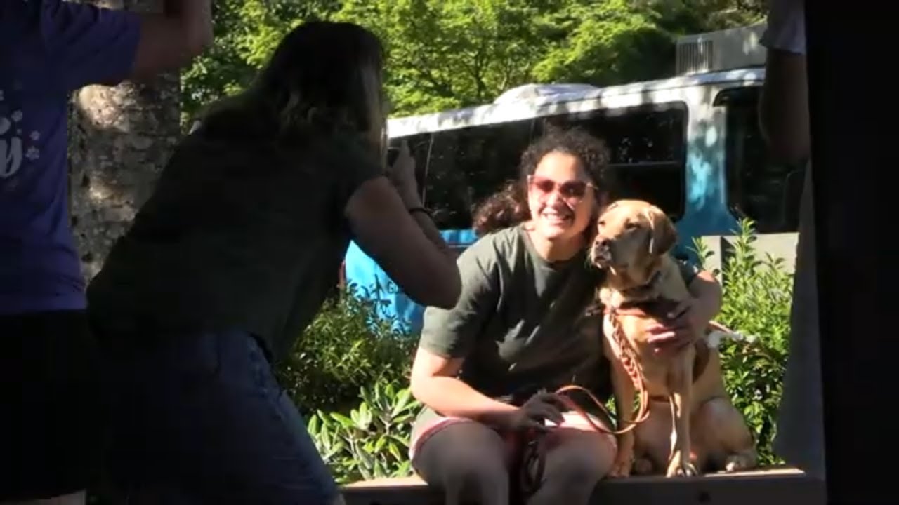 Guide Dogs for the Blind - Camp GDB 2022