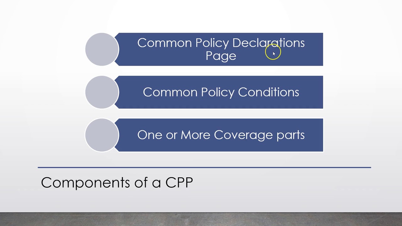CPP Commercial Package Policy OVERVIEW