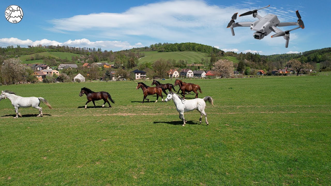 OFČÍ STATEK BRNÍČKO| DRONOVÉ ZÁBĚRY | DJI AIR 2S