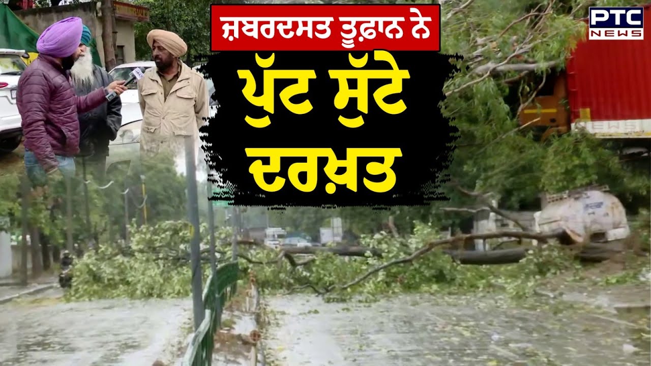 Punjab ’ਚ ਤੇਜ਼ ਹਨੇਰੀ ਦਾ ਕਹਿਰ,ਪੁੱਟ ਸੁੱਟੇ ਵੱਡੇ-ਵੱਡੇ ਦਰਖ਼ਤ |Mohali | Punjabi News | Rain | Punjab Weather