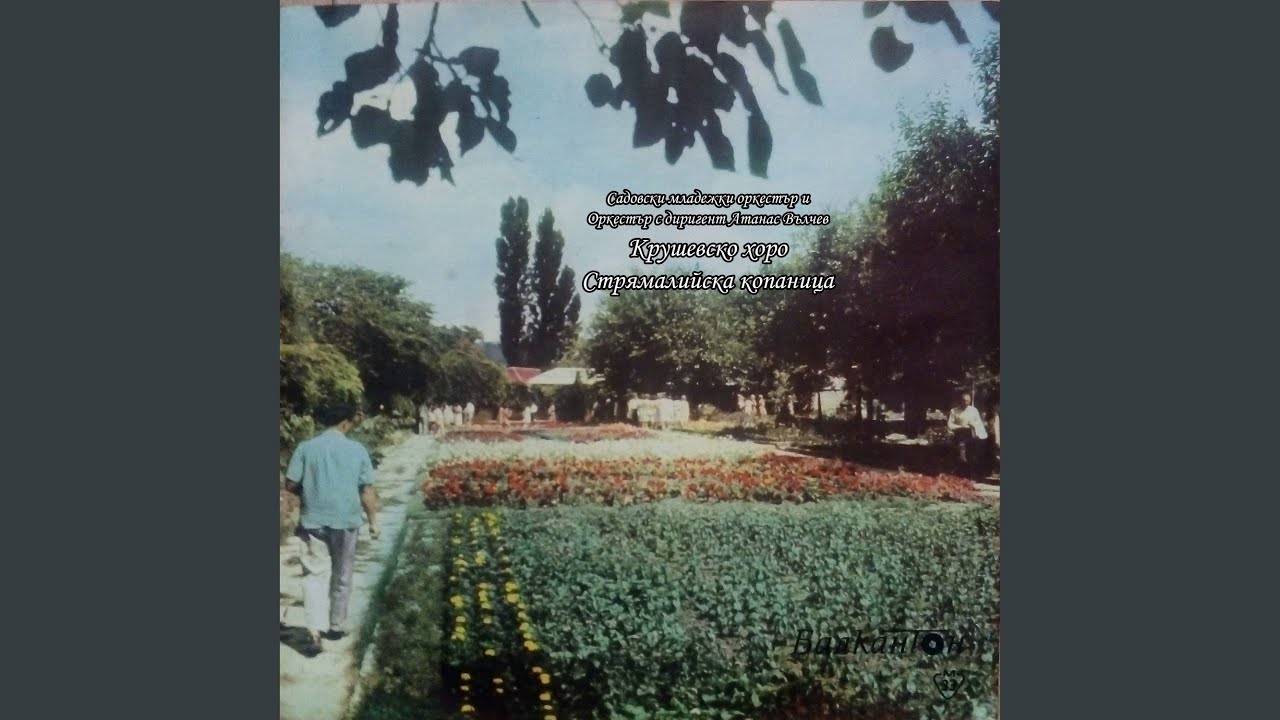 Стрямалийска копаница