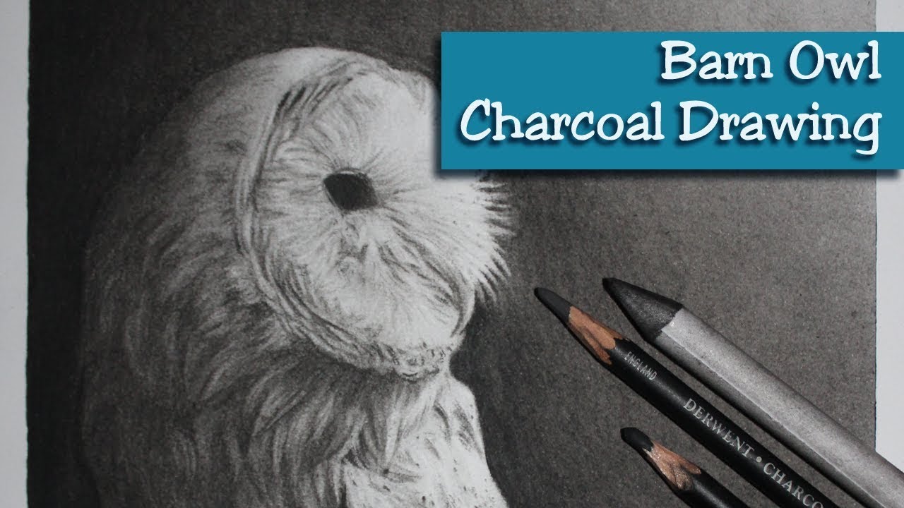 Clarity - Barn Owl Charcoal Drawing Demonstration