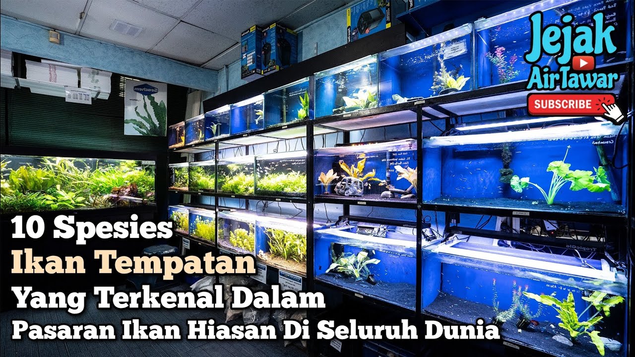 Ikan Malaysia yang terkenal di luar negara