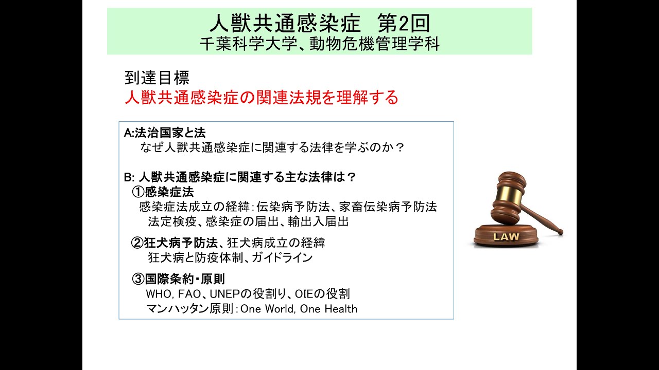 千葉科大人獣2025第2回の１法とは