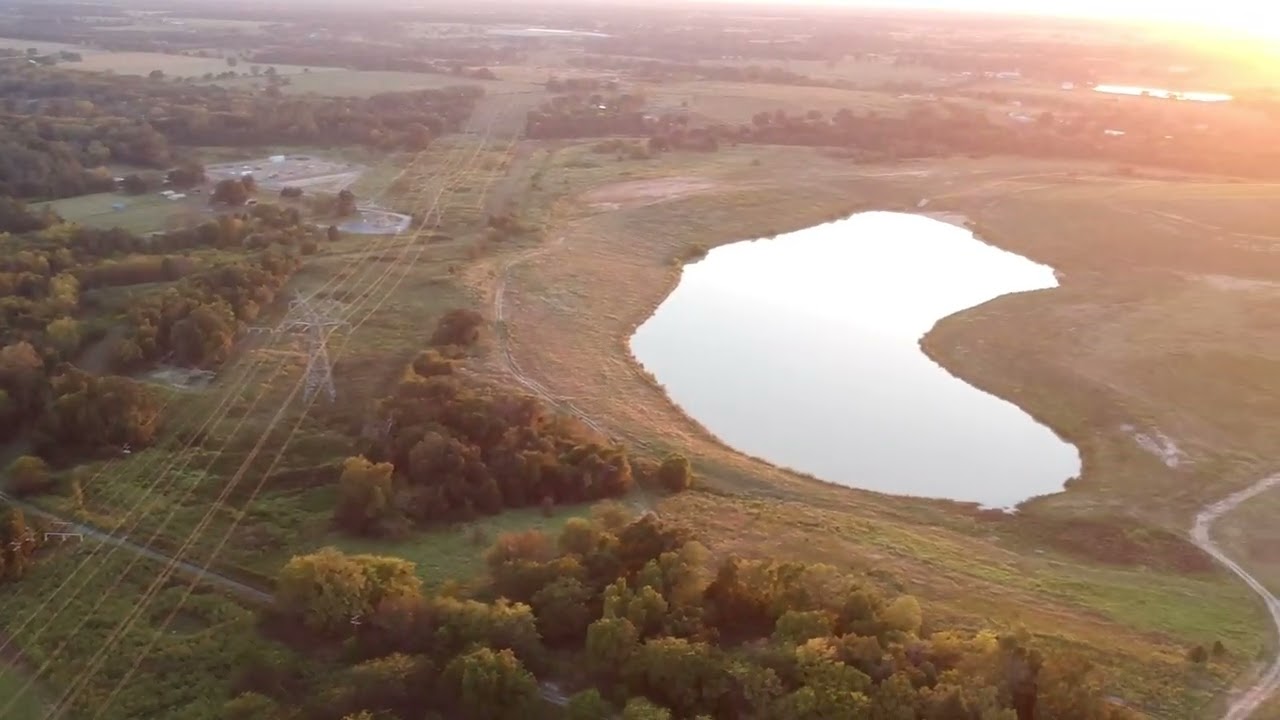 MSB Global Services Clears Trees for their Data Center Project