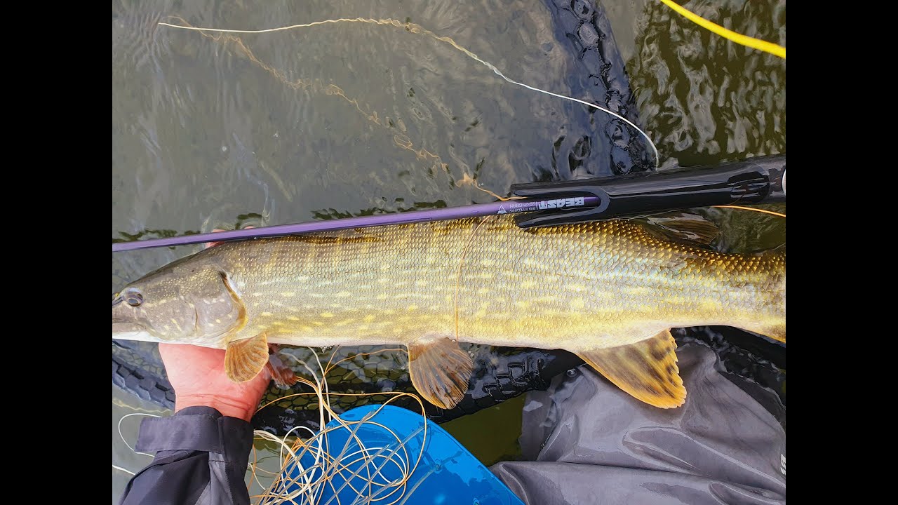 Fishing for Pike in Rügen with ArcticSilver team