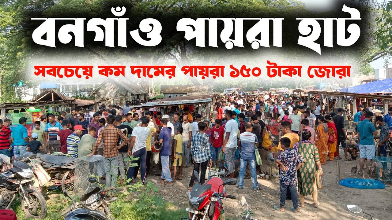 Bongaon মেদে হাটে - ১৫০ টাকা জোড়া পায়রা 🤩 | Mede Payra Hat | Mede Pigeon Market