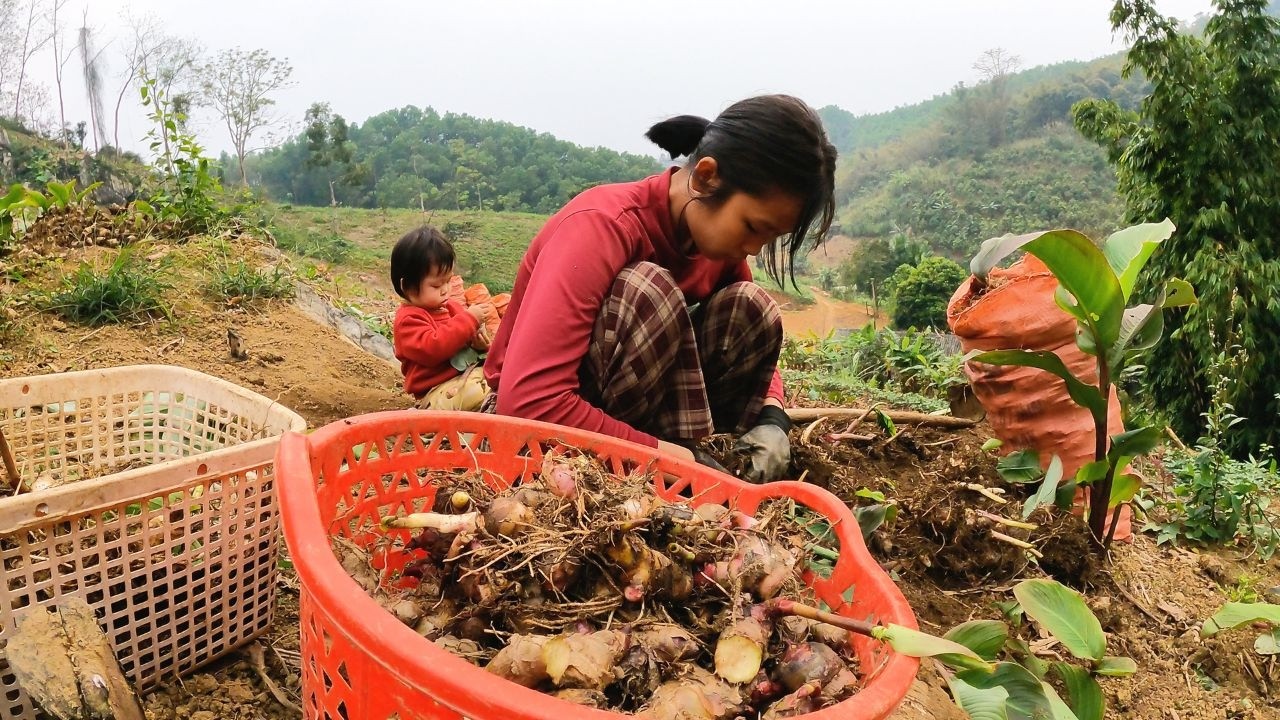 Thao sorted the seeds and packaged them for sale.