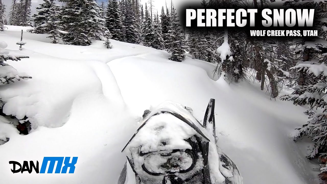 MUNSTER FINGER THROTTLE REVIEW | A must have on your sled!