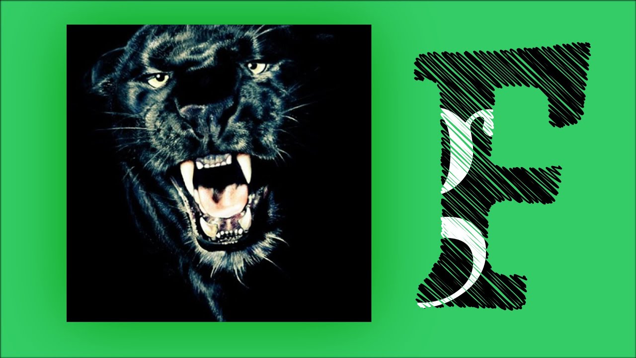 Mr. O - Pantera