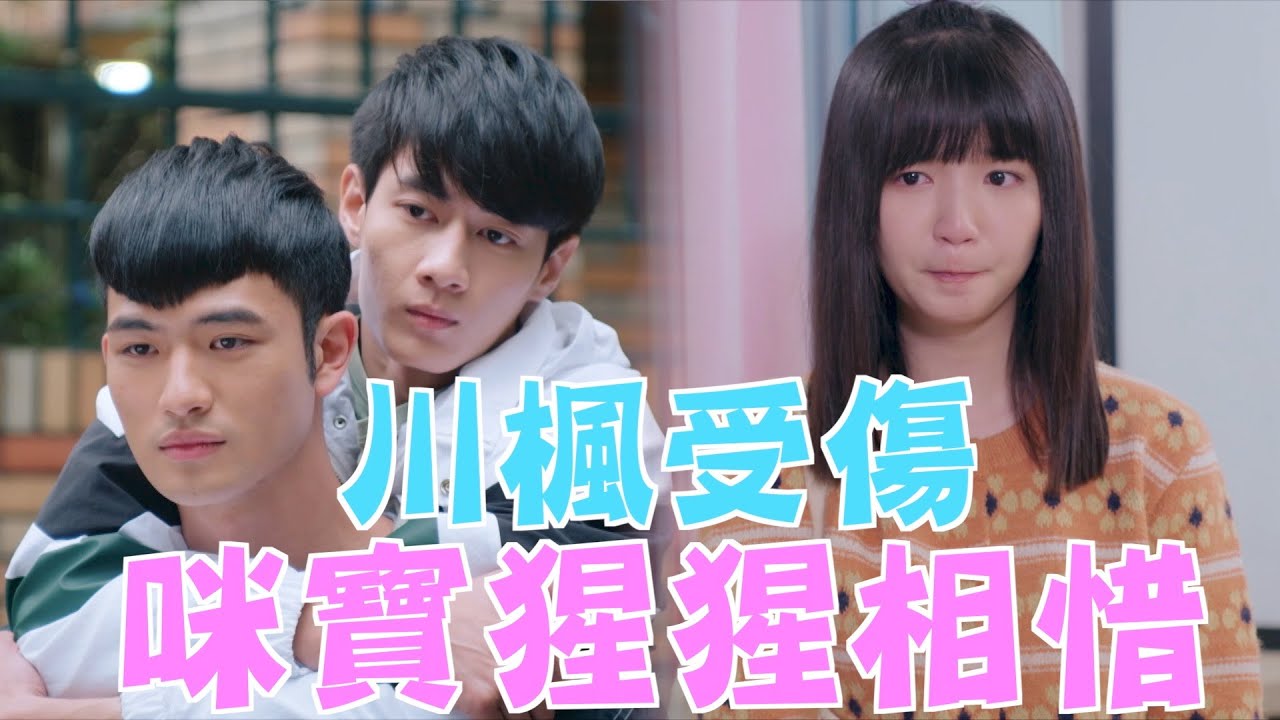 機智校園生活 | EP37精彩回顧 川楓受傷 咪寶猩猩相惜 | TVBS 42台