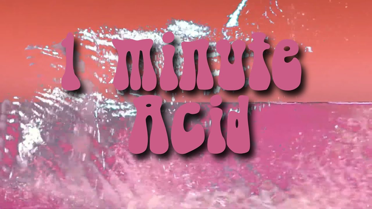 (one minute trip)Creative dolphin.