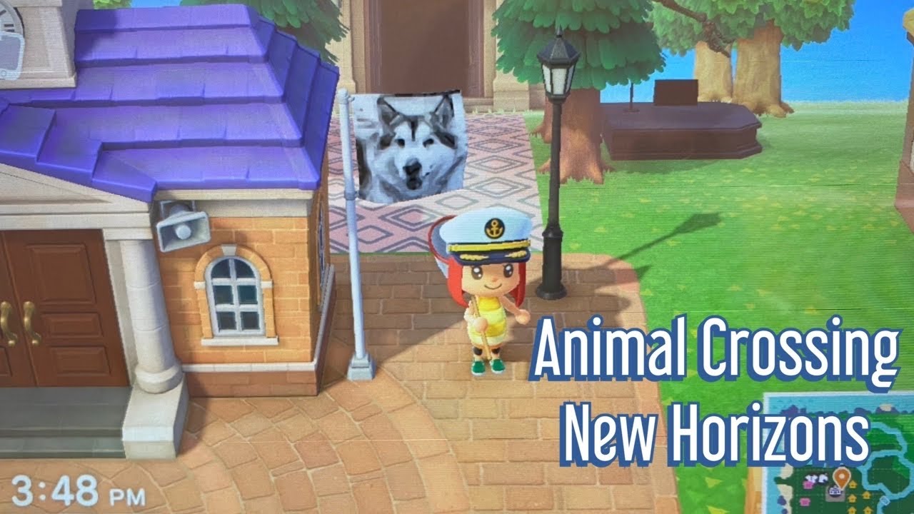 How to scan QR codes to Animal Crossing New Horizons | I made my malamute into a QR code