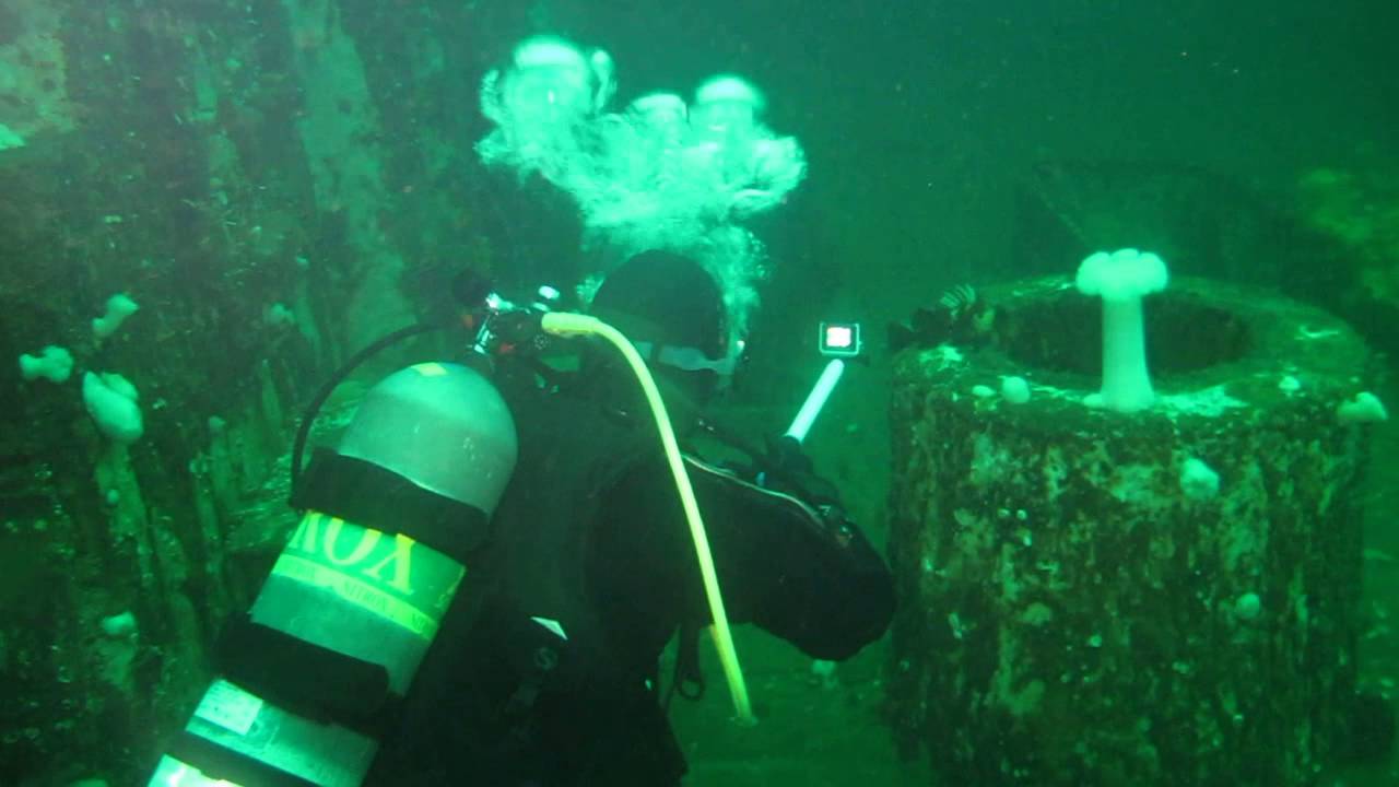Mel Vincent tracking the elusive Plumous Anemone
