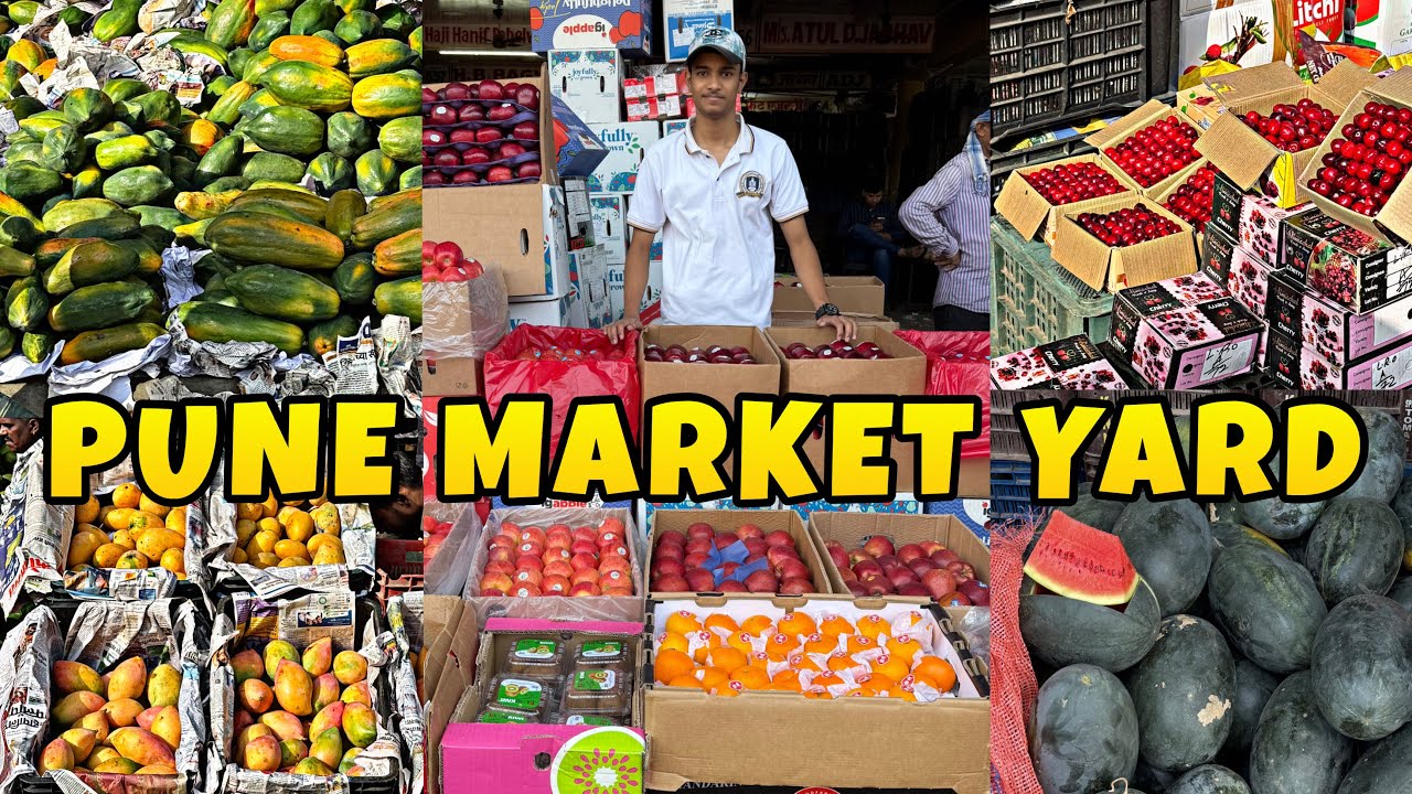 Pune Biggest Wholesale Fruit Market || MARKET YARD || MD ANAs VLOGs