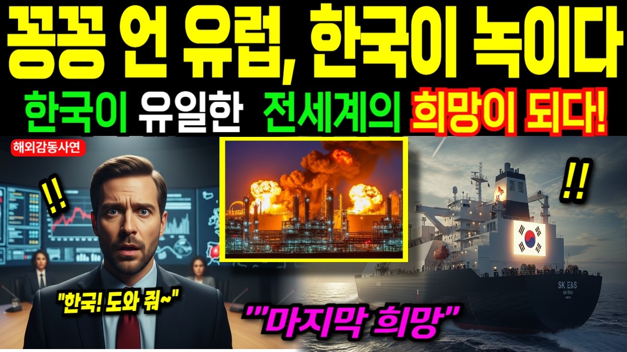 [해외감동사연] 가스는 있는데 배가 없었다… 세계가 위기 때마다 한국 조선소를 찾는 충격적인 이유