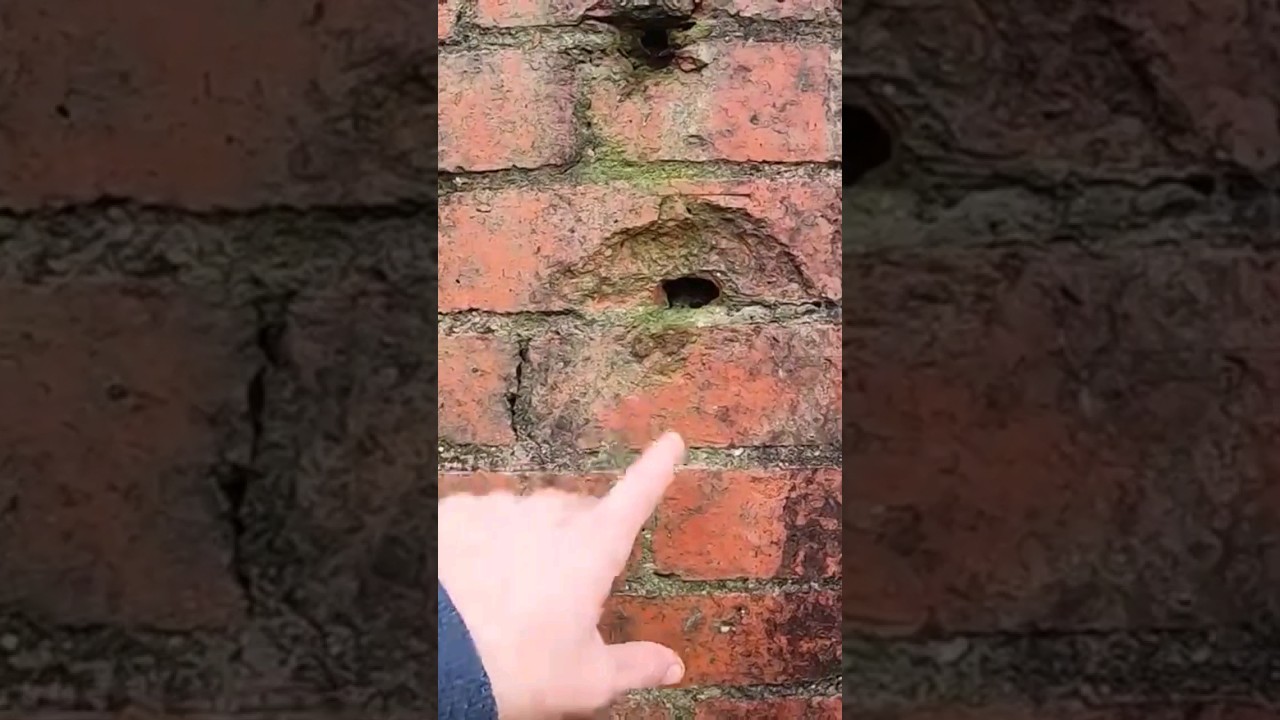 Pill Box BUNKER With BULLET Holes From WW2 