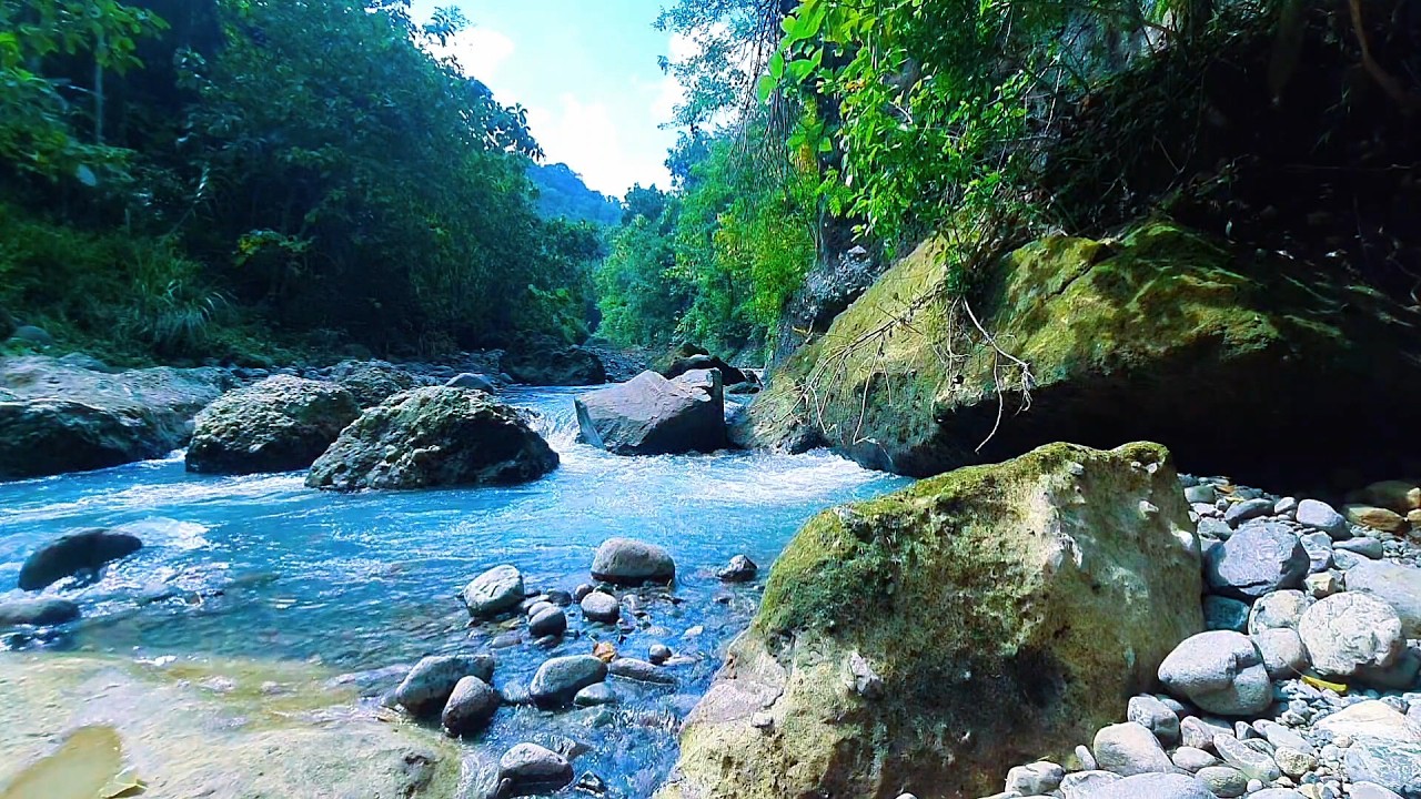Soft River Ambience for Deep Relaxation