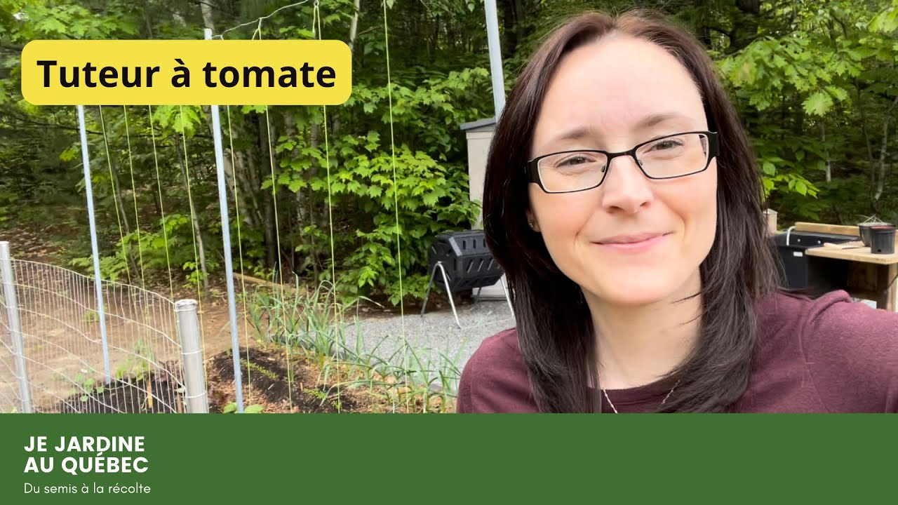 Ma structure pour tuteurer mes tomates au jardin