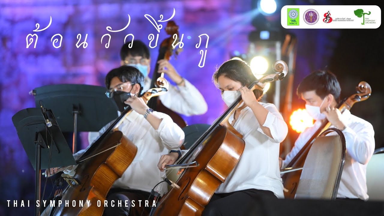 ต้อนวัวขึ้นภู | Thai Symphony Orchestra