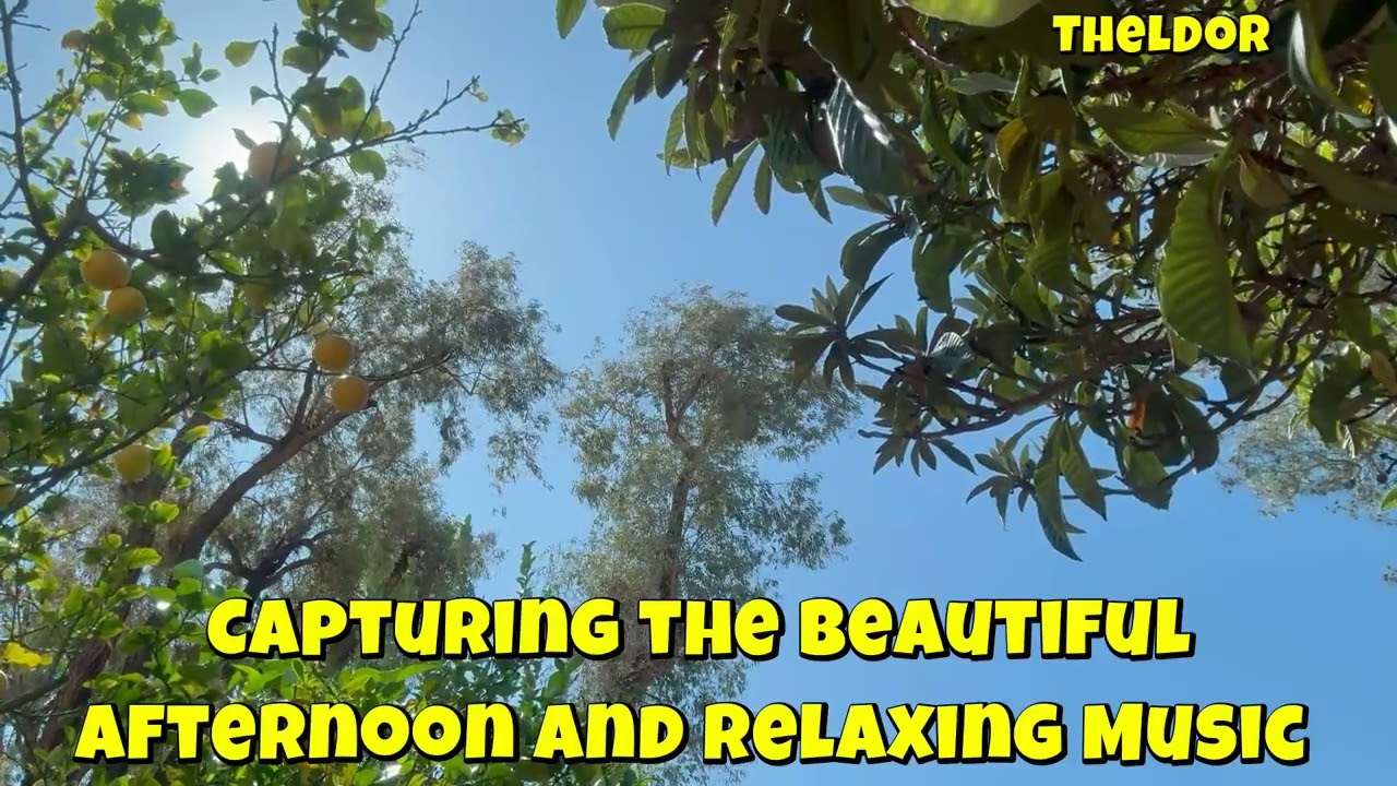 Nature's Tranquility: Relaxing Afternoon Vibes
